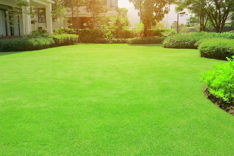 Residential & Commercial Lawn Care & Maintenance Programs in Massachusetts