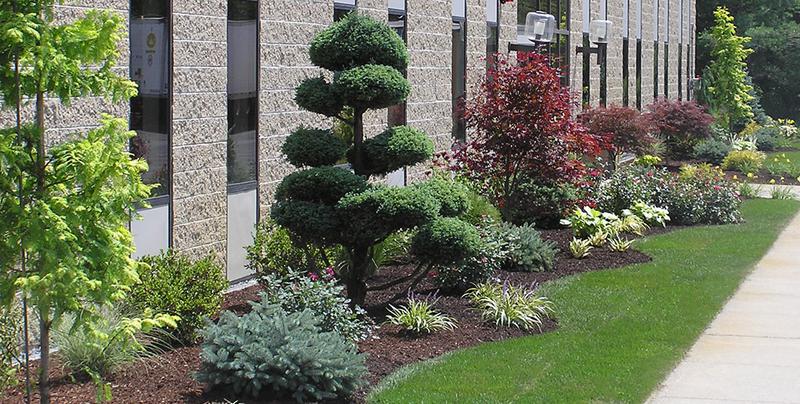 Marlboro Landscaping & Lawn Care in Marlborough MA 01752