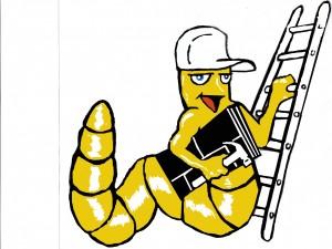 Worcester Roofing & Siding Contractors in Worcester MA