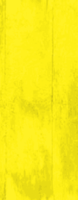 Worcester Junk Removal in Worcester MA 01604