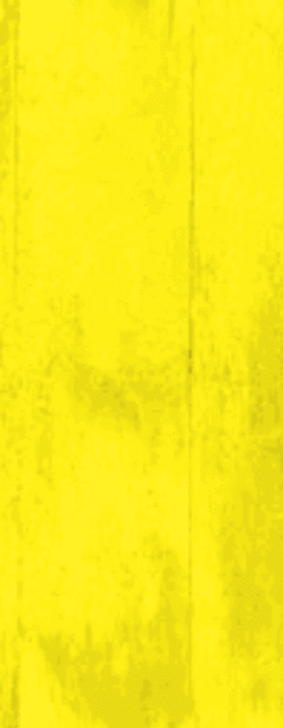 Wormtown Property Maintenance in Massachusetts