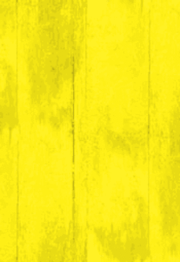 Wormtown Rubbish Removal