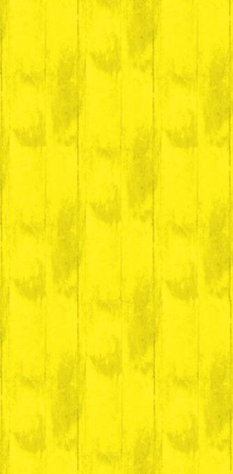 Weekly Trash & Recyling Garbage Collection in Worcester, Massachusetts 01603