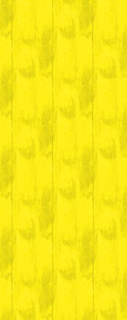 WEEKLY & BI-WEEKLY TRASH PICK-UP IN WORCESTER MA