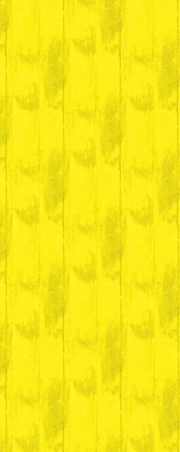 Weekly Trash & Recyling Garbage Collection in Worcester, Massachusetts 01603